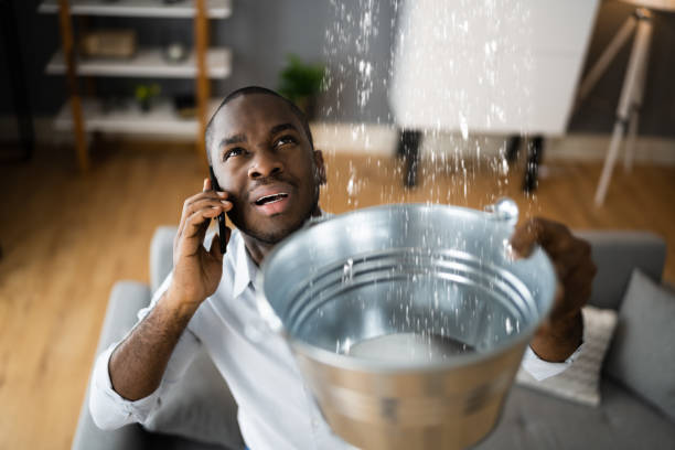 Best Carpet water damage restoration  in Port Townsend, WA