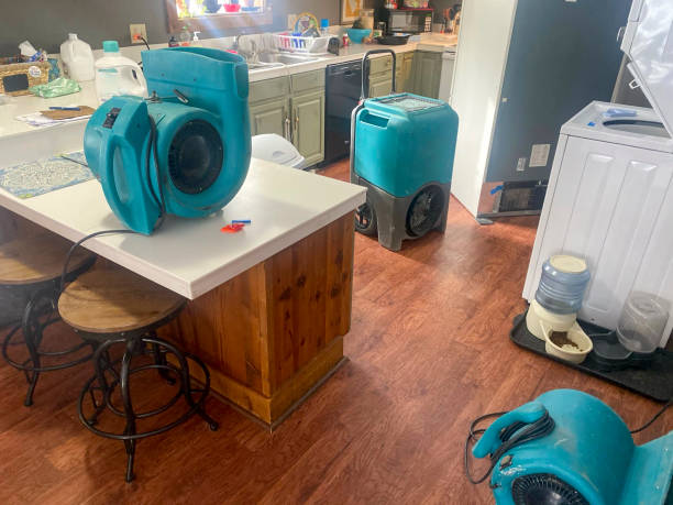 Best Professional water damage repair  in Port Townsend, WA