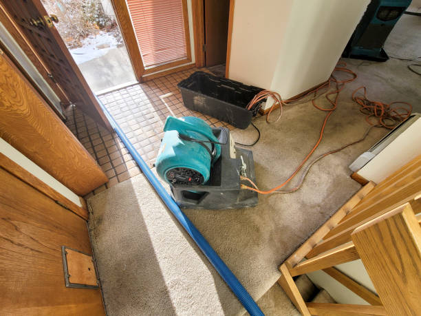 Best Flood damage cleanup  in Port Townsend, WA