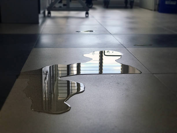 Best 24-hour water damage restoration  in Port Townsend, WA