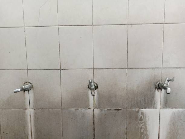 Best Mold removal after water damage  in Port Townsend, WA