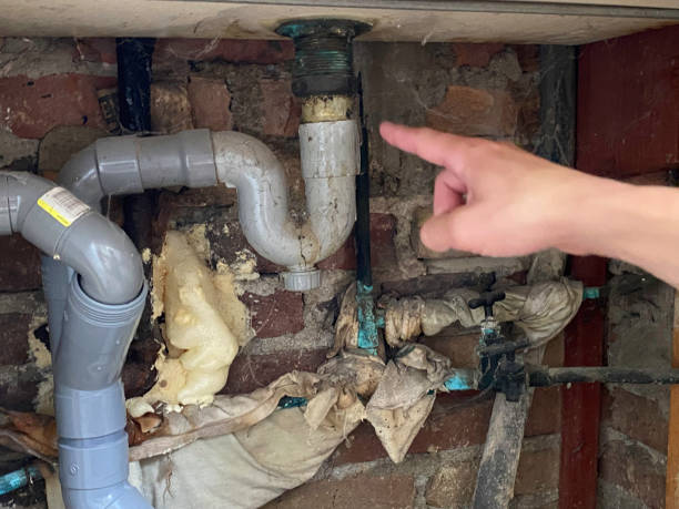 Best Flooded house restoration  in Port Townsend, WA