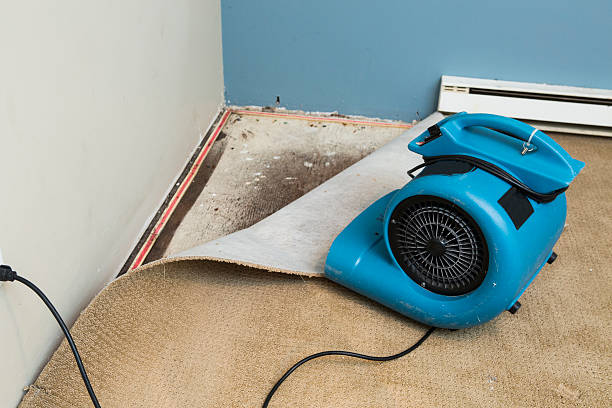 Best Fire Damage Restoration  in Port Townsend, WA